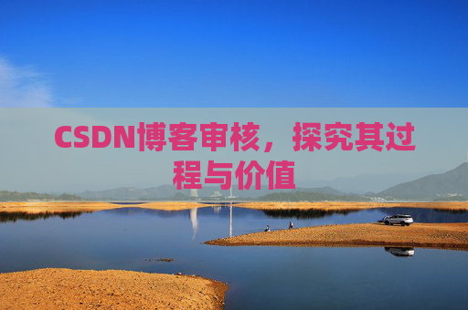 CSDN博客审核，探究其过程与价值